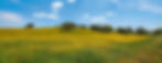 alentejo-4387493-crop.jpg