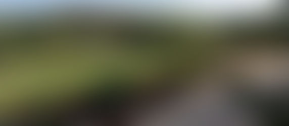 Pretty Close to Perfect: Dream House