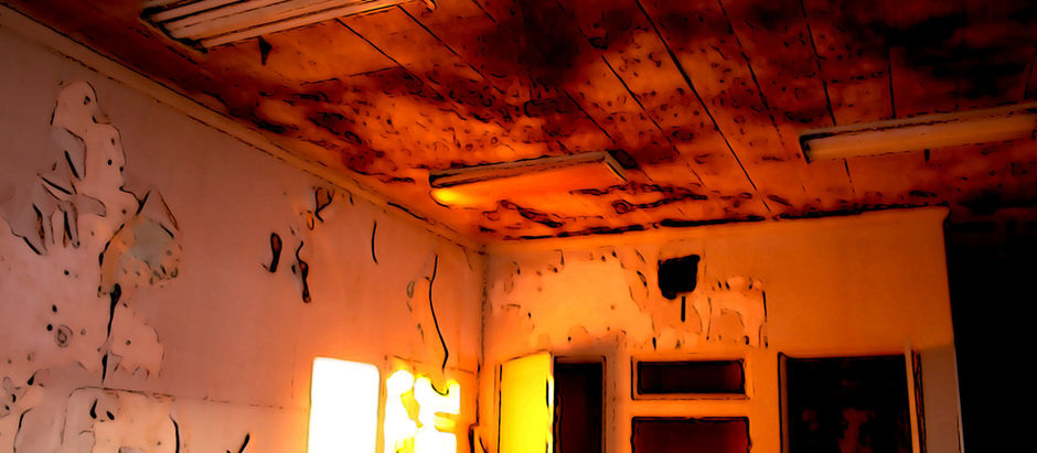 Plenty of Rats in the Old Opsal Steel Building