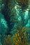 lazyriverdesignworks_illustration_painted_coloured_ink_with_hea_1cefe6e5-2615-429c-b318-21