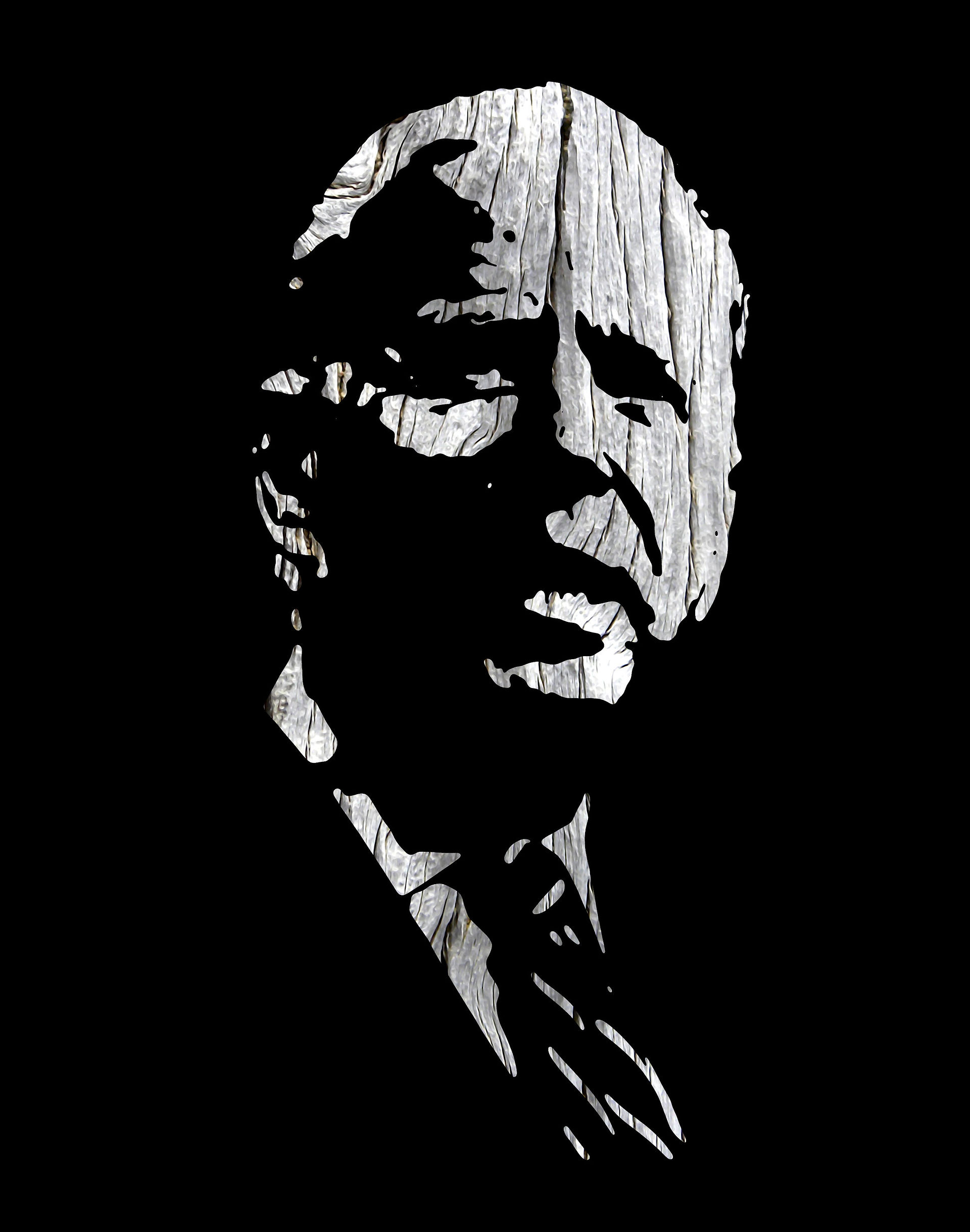 Joe Biden - Driftwood