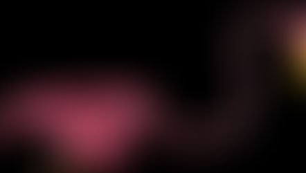 Portfolio: Flamingo Bones