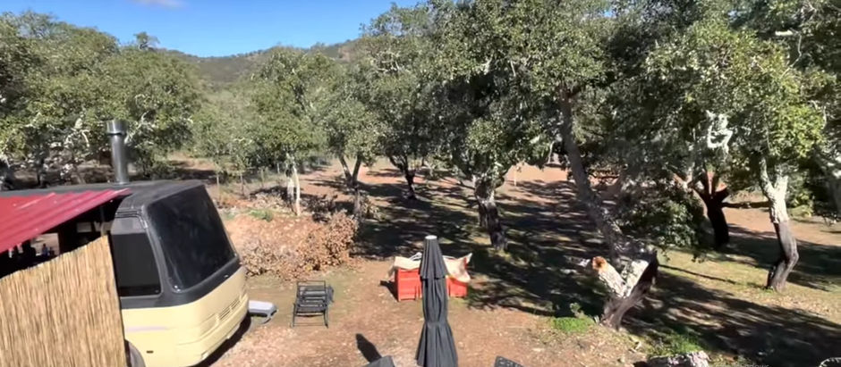 The Captain of Industry at Real Algarve Living: Andrew (or Andy, if you like)