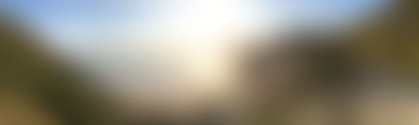 Blanca Valbuena - Extensive and Wide-Ranging Resource