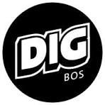 A logo for Boston Weekly Dig magazine. Dig wrote an article about Copley Acupuncture in a past issue.