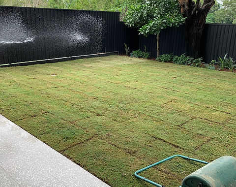 New turf being laid in a spacious Brisbane backyard | signature scapes