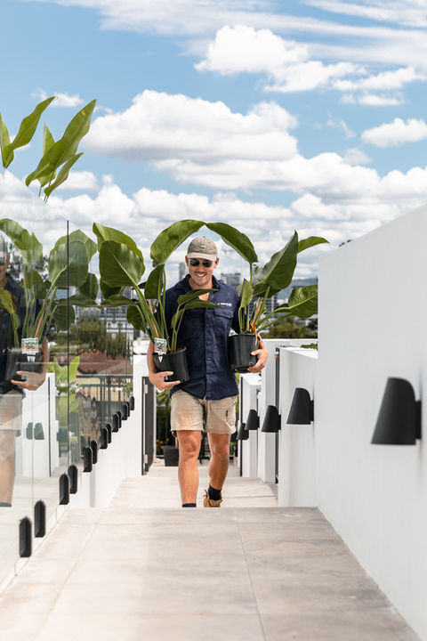 Softscaping Services | Signature Scapes