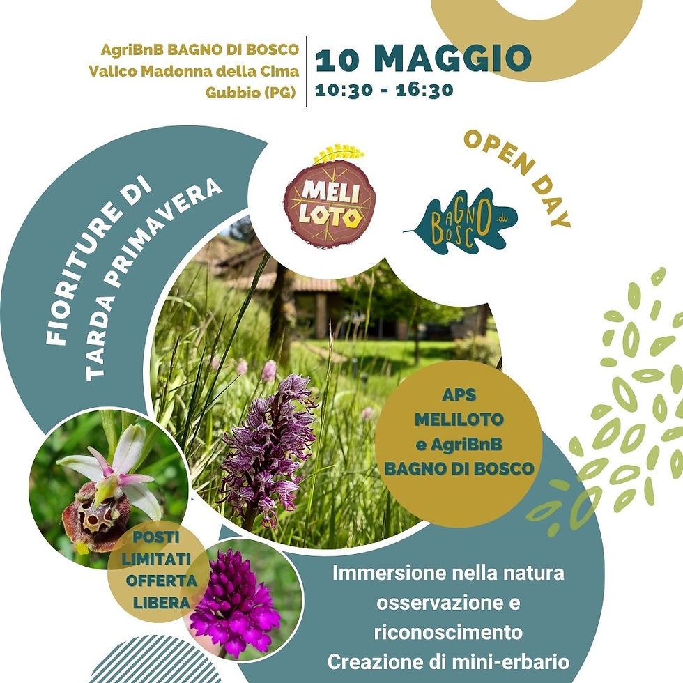 10 MAGGIO: FIORITURE DI TARDA PRIMAVERA