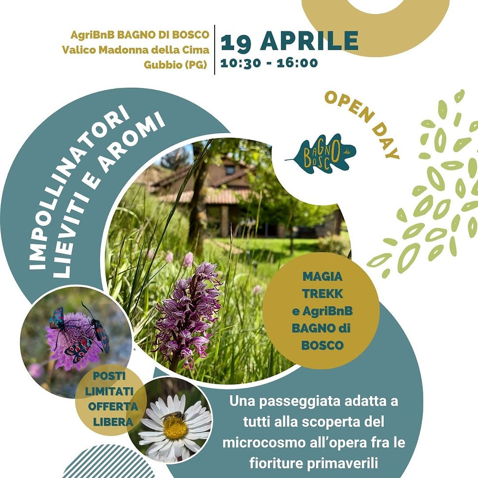 19 APRILE: IMPOLLINATORI, LIEVITI E AROMI