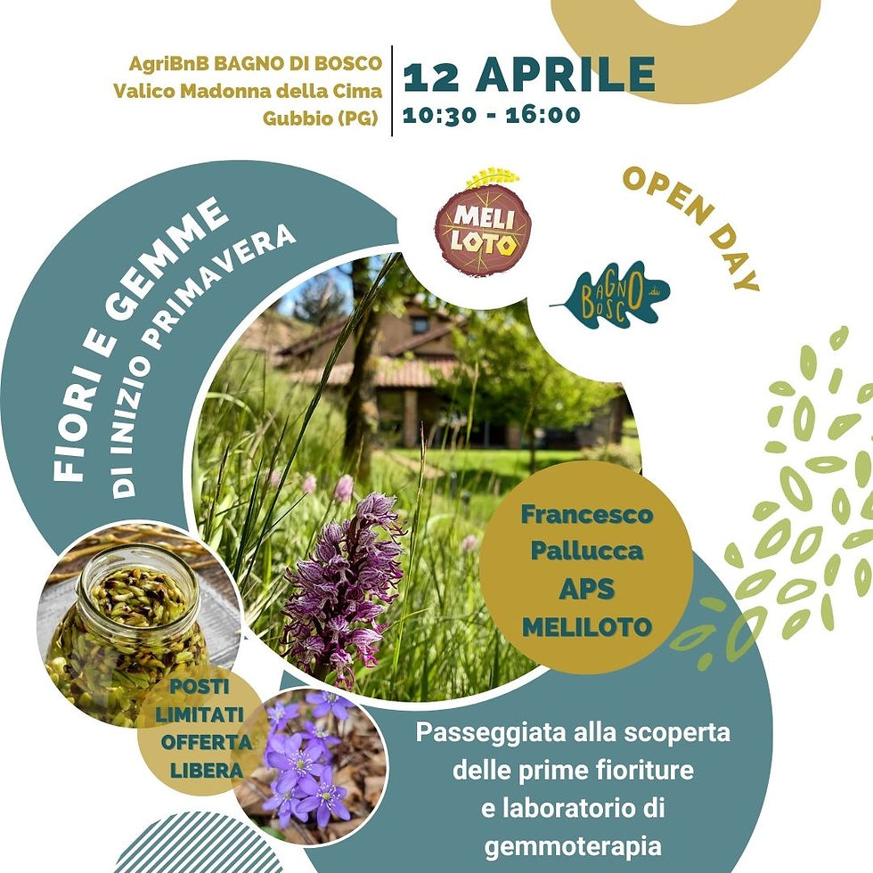 12 APRILE: FIORI E GEMME DI INIZIO PRIMAVERA