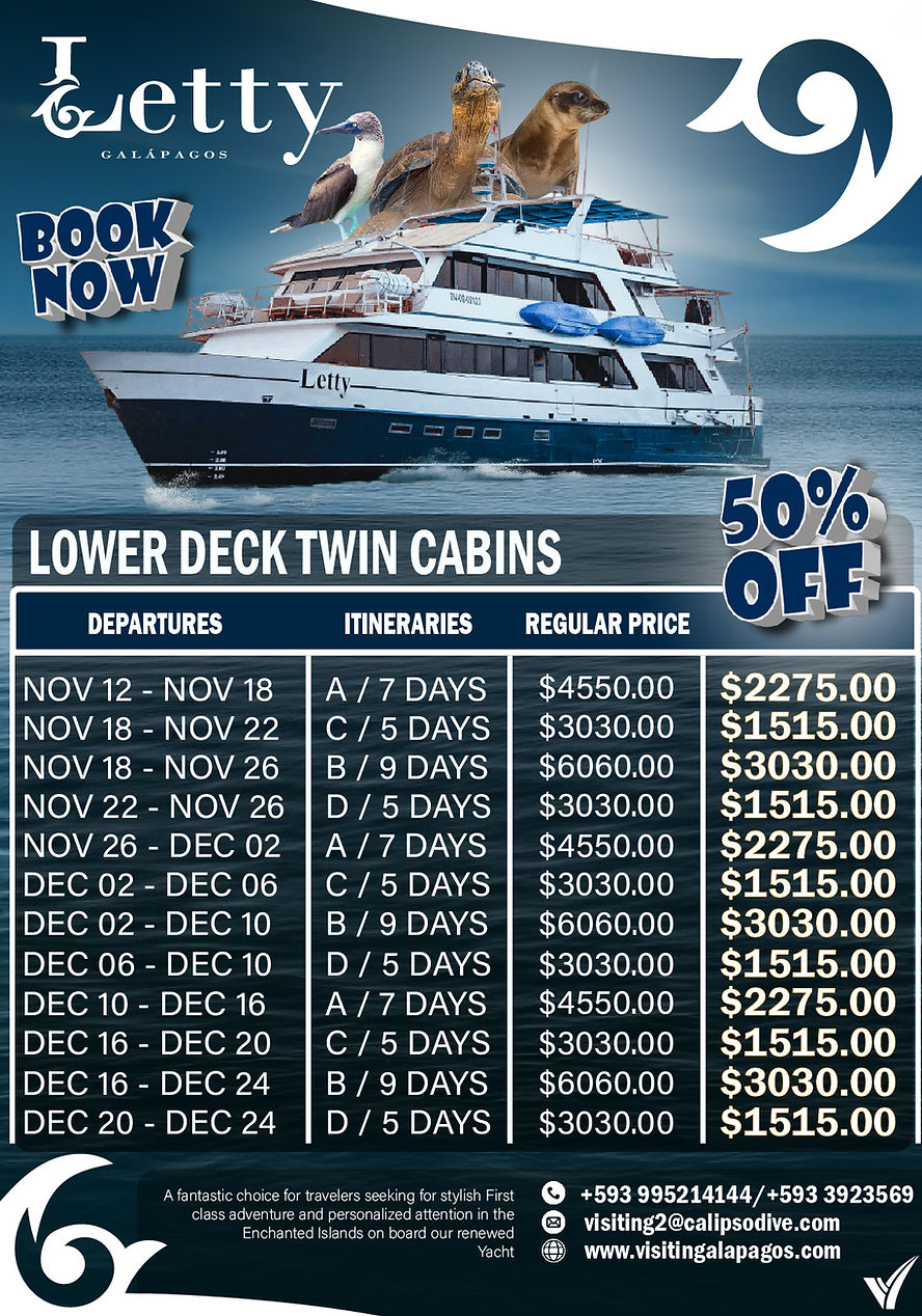 LETTY NET RATES AFICHE 50 OFF NOVIEMBRE DICIEMBRE NUEVO2X1-03.jpg