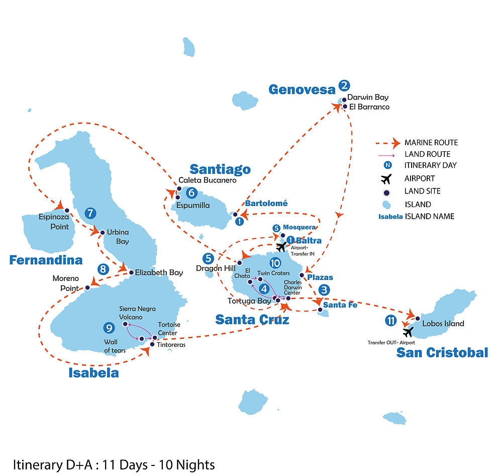 ITINERARY D+A
