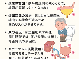 高齢者の「排尿障害」と「尿路感染症」の深い関係