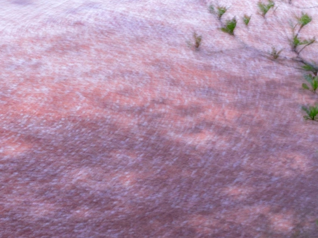 在宅患者おける癌患者さんにおける吐き気