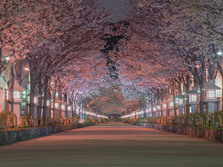 骨粗鬆症治療の新展開:注射薬で骨形成促進#