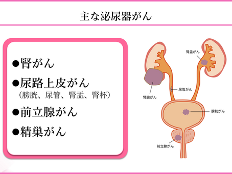 がん緩和ケア＋在宅医療医に必要ながん治療に関する知識を科学する　８９