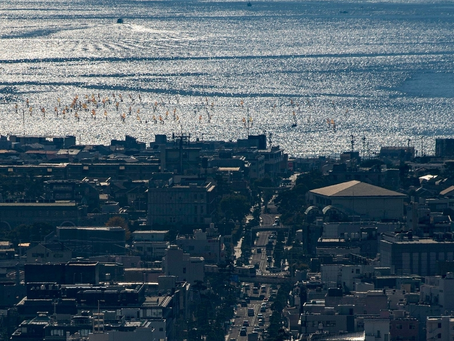 認知症治療の功罪~アリセプトの作用機序