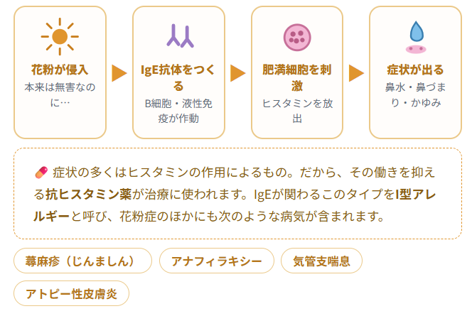 3自己免疫疾患 ― 自分を敵とまちがえる