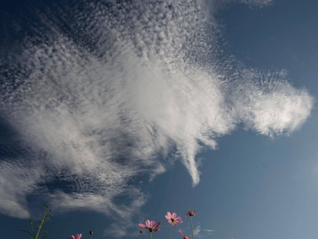 在宅診療における敗血診断~#敗血症疑い?qSOFAチェックで早期診断