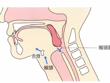 誤嚥性肺炎を科学する５２～「軽くあごを引く」が飲み込みやすさと誤嚥しにくさを同時に叶える理由