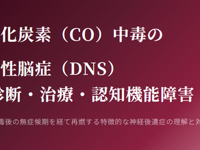 認知症は治せるか～認知症治療の羅針盤３０～一酸化炭素（CO）中毒の遅発性脳症（DNS）— 診断・治療・認知機能障害 —
