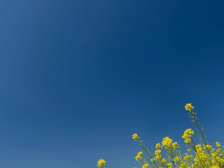 高齢者必見!カルシウム薬で「高Ca血症」のリスクが高まる! #骨粗鬆症 #内服チェック