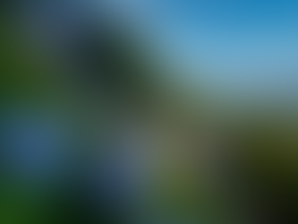 高齢者の痛みの治療~PMR(リウマチ性多発筋痛症)