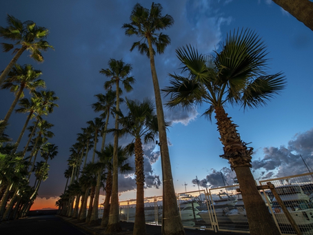 褥瘡に対する湿潤療法について