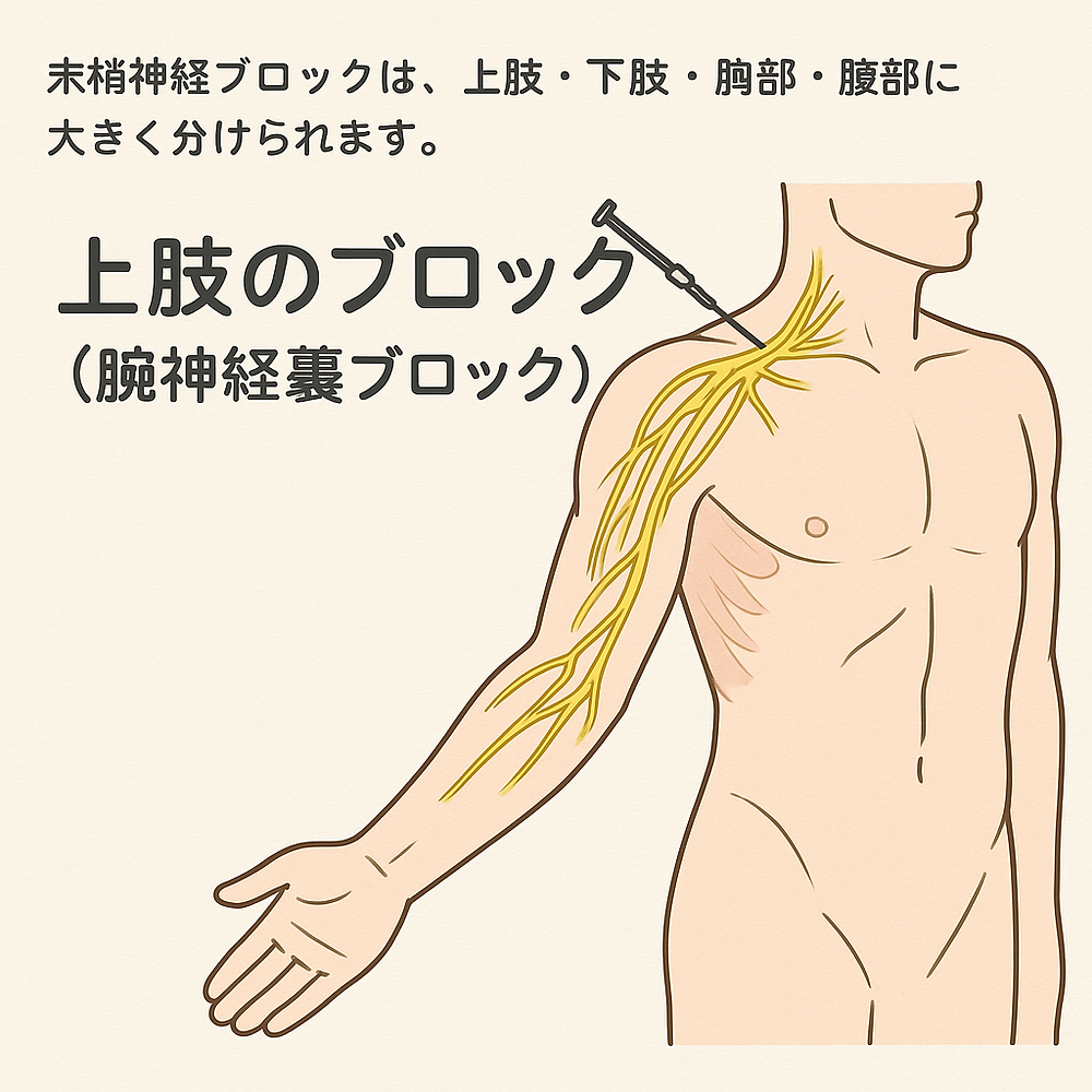 看護師さんによる在宅医療におけるエコーを科学する37～上肢に行う