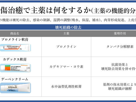 褥瘡を科学する