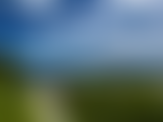 在宅医療におけるイレウス(胃十二指腸より下の閉塞)嘔気・嘔吐への対応 ~とてもつらい腹部膨満感の原因と対処~腹水だけではない