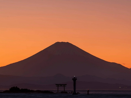 在宅診療における高齢者の下痢について