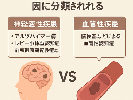 在宅医療における認知症について１０～認知症の診断は「確定」できるのか？――病理学的分類と臨床診断の限界