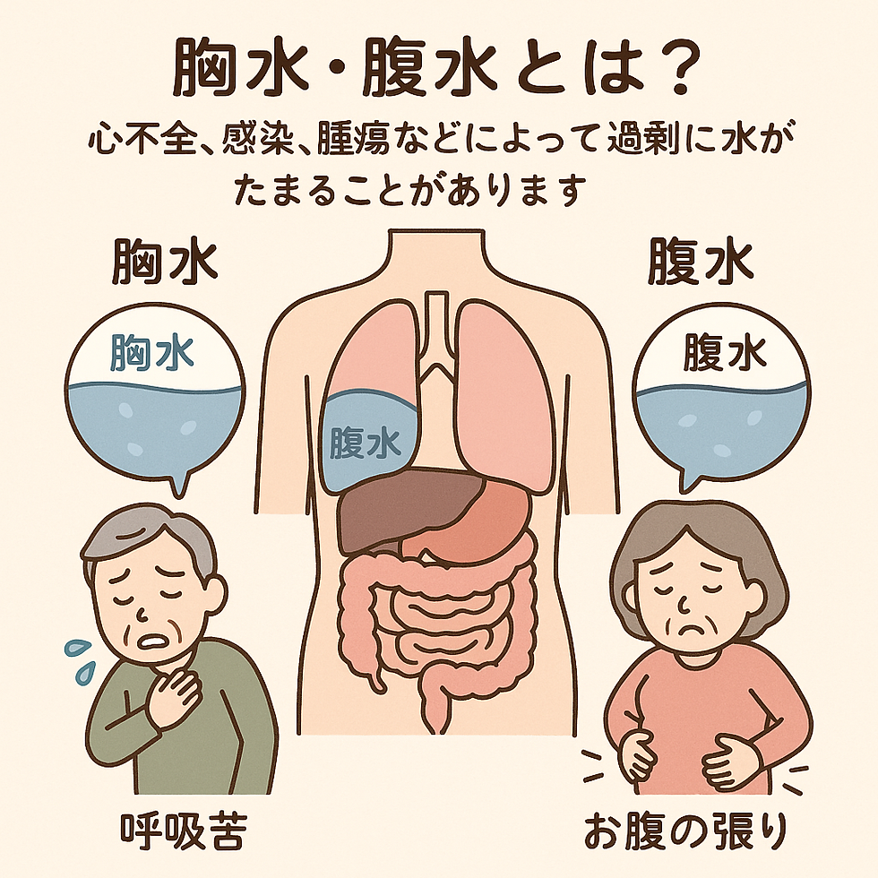 看護師さんによる在宅医療におけるエコーを科学する48~胸水・腹水におけるエコー(超音波検査)の役割