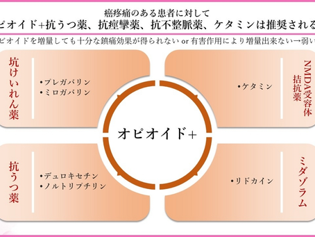 がん緩和ケア医療を科学する23