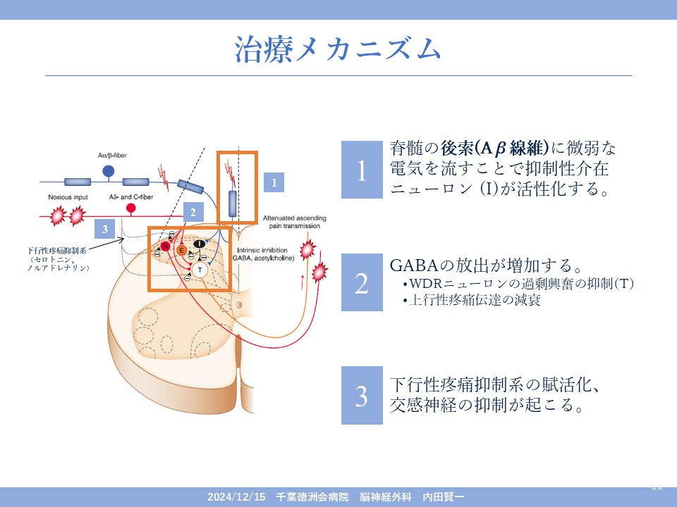 PAIN～ 神経生理学に基づく痛みのマネジメント ～【全２巻】ME209-S Amazon.co.jp: PAIN～ 神経生理学に基づく痛みのマネジメント