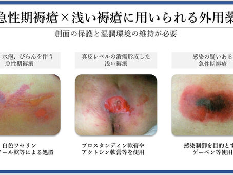 褥瘡を科学する