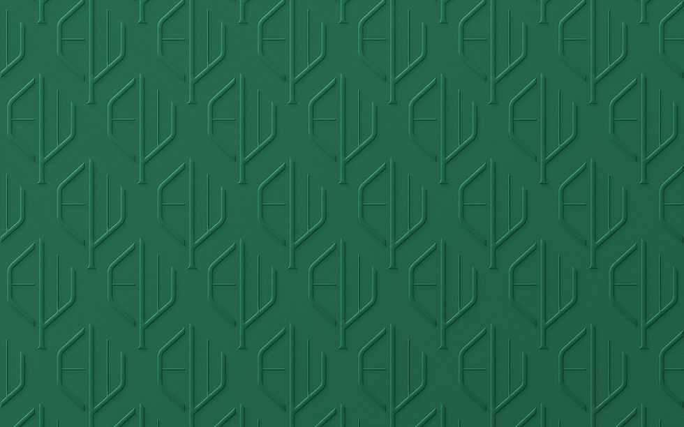 A Message from the CEO