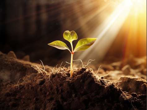 Tending to the Inner Garden: A Reflection on Growth, Renewal, and Blooming Into Being