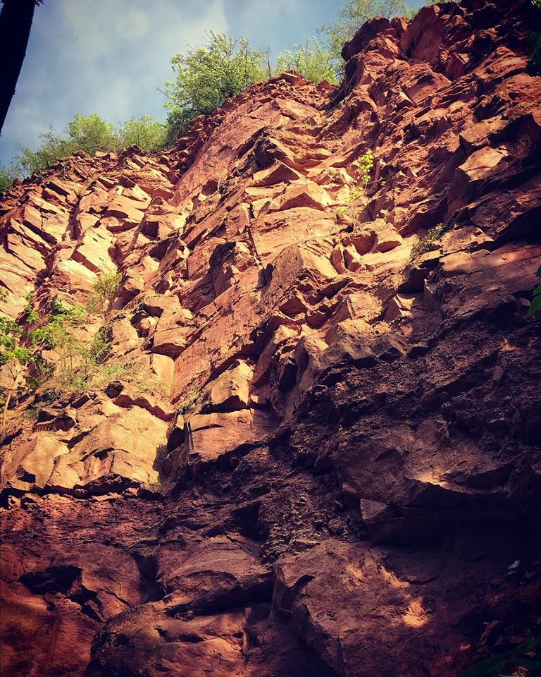 Miniature : Riesling Rothstein