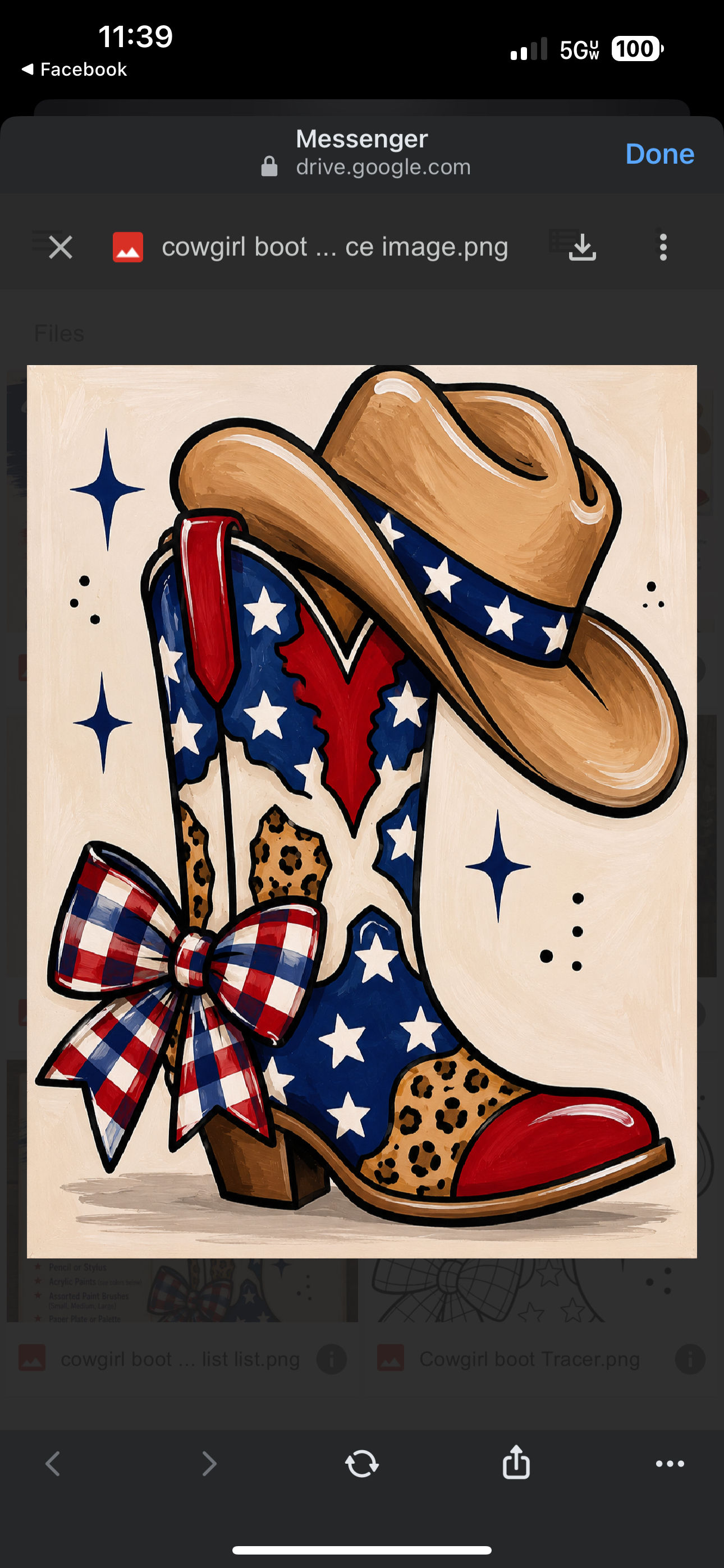 Cowgirl Boots