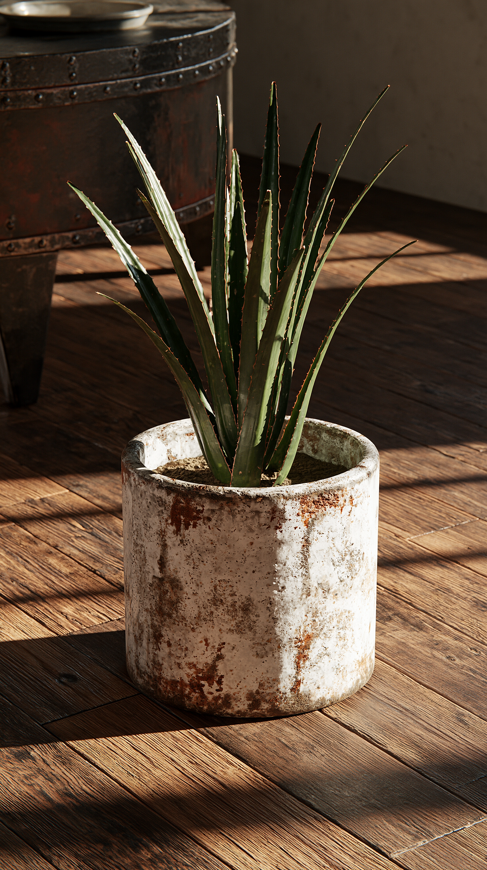 u7454881164_first_plan_on_a_pot_with_a_plant_end_parquet_as_a_f99c8f23-7054-4145-a1e6-497a