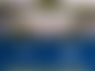 photo from the website from Tallahassee State College and Santa Fe College