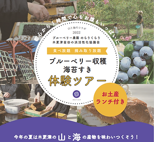 海苔すき体験ちらし.PNG