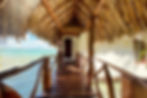 Akalki . bacalar