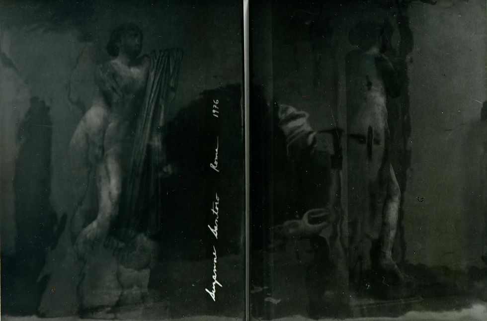Black Mirrors. Hermaphrodite