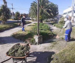SE REFUERZAN ACCIONES DE LIMPIEZA Y MANTENIMIENTO EN PARQUES Y JARDINES DE MINERAL DE LA REFORMA ANT