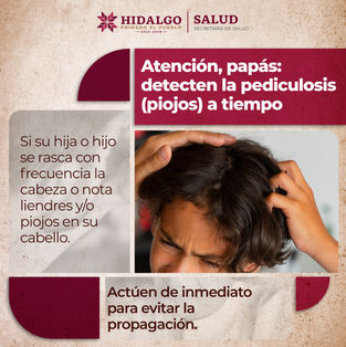 Si tu hijo se rasca con frecuencia o notas piojos y liendres en su cabello, actúa de inmediato. Prevenir la #pediculosis evita su propagación. 🚫🧐#PrimeroTuSalud