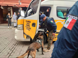 Implementan operativos del programa Transporte Seguro en puntos clave de Pachuca