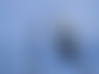 PARA MEJORAR LA SEGURIDAD, EN MINERAL DE LA REFORMA SE DA MANTENIMIENTO Y SUSTITUCIÓN DE LUMINARIAS